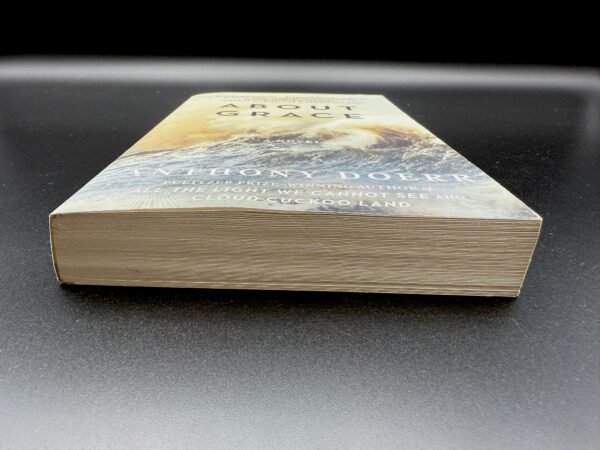 About Grace: A Novel - Image 2