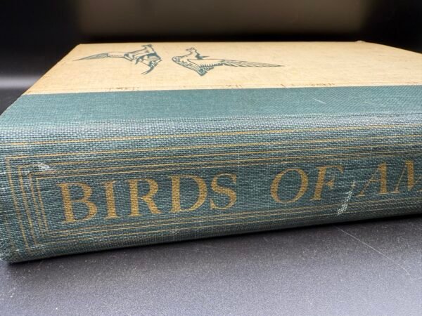 Birds of America - Image 3