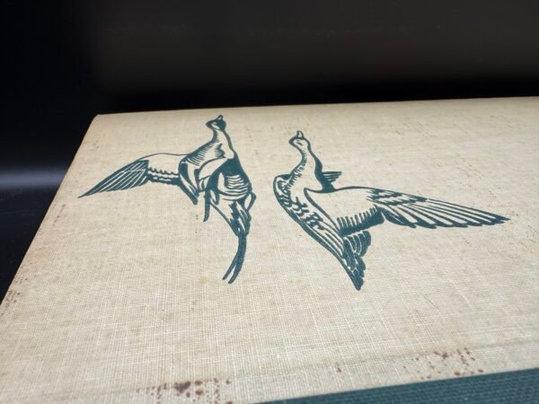 Birds of America - Image 4