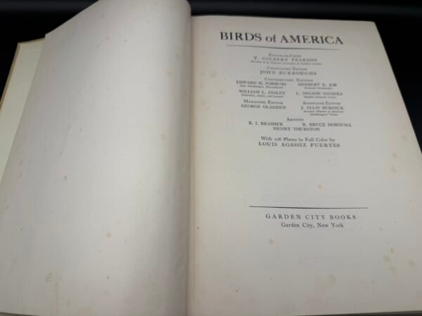 Birds of America - Image 12