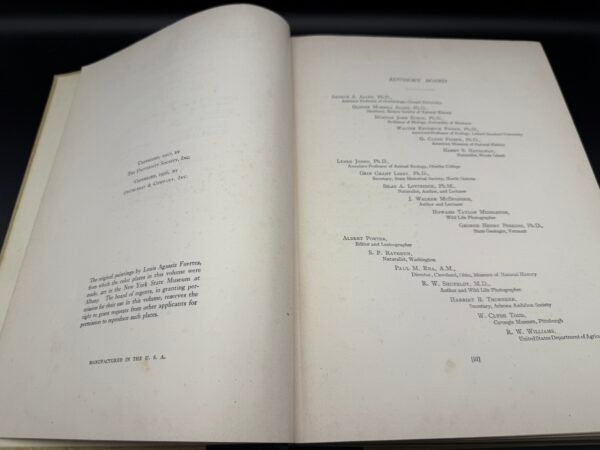 Birds of America - Image 13