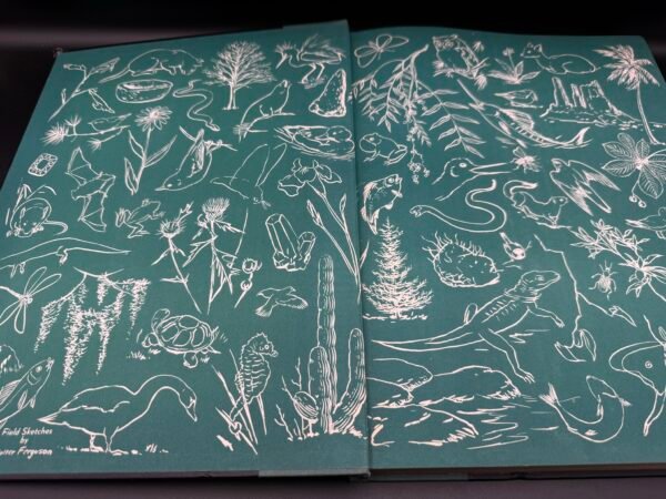 Hammond’s Nature Atlas of America - Image 4