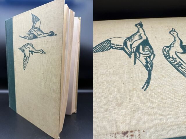 Unveiling a Masterpiece: Why “Birds of America” is a Must-Have for Every Nature and Art Lover